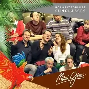 In-stadium fan activation or sponsorship example