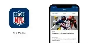 In-stadium fan activation or sponsorship example